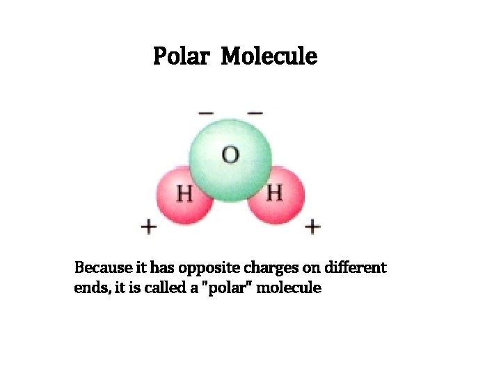 Polar Molecule Because it has opposite charges on different ends, it is called a