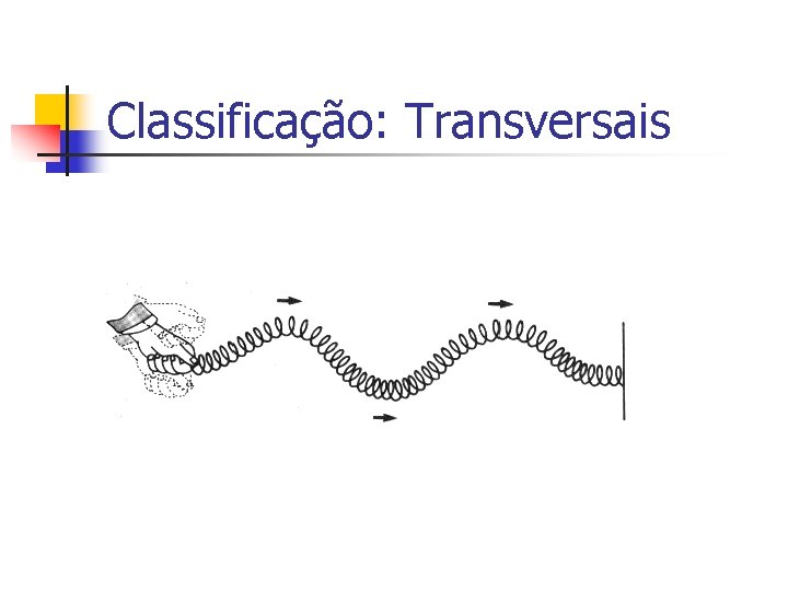 Classificação: Transversais Classificação: Transversais