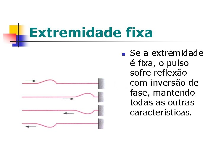 Extremidade fixa n Se a extremidade é fixa, o pulso sofre reflexão com inversão Extremidade fixa n Se a extremidade é fixa, o pulso sofre reflexão com inversão