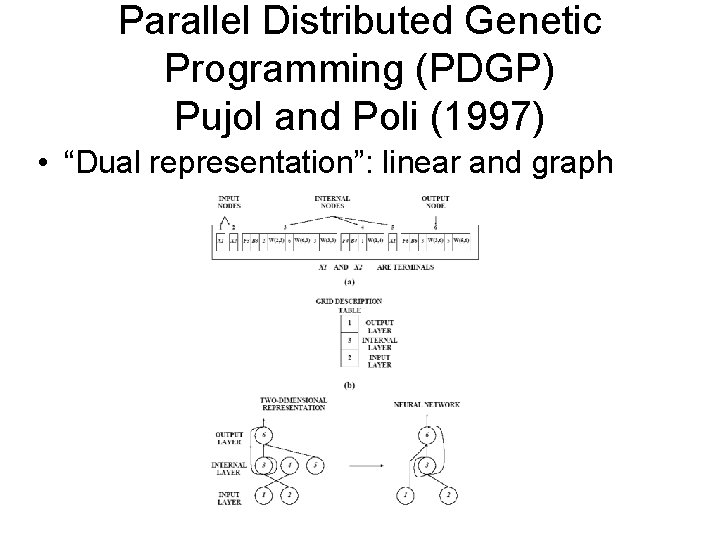 Parallel Distributed Genetic Programming (PDGP) Pujol and Poli (1997) • “Dual representation”: linear and