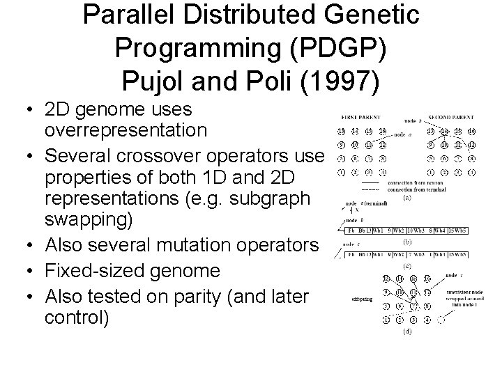 Parallel Distributed Genetic Programming (PDGP) Pujol and Poli (1997) • 2 D genome uses