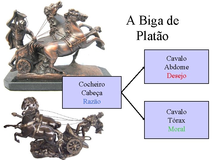 A Biga de Platão Cavalo Abdome Desejo Cocheiro Cabeça Razão Cavalo Tórax Moral 