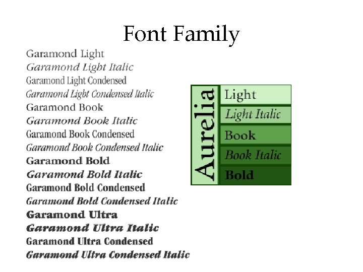 Font Family 