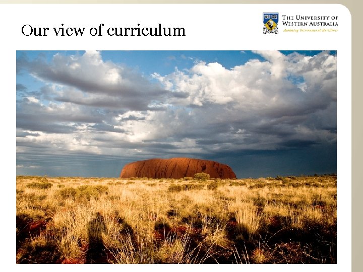 Our view of curriculum 