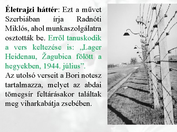 Életrajzi háttér: Ezt a művet Szerbiában írja Radnóti Miklós, ahol munkaszolgálatra osztották be. Erről