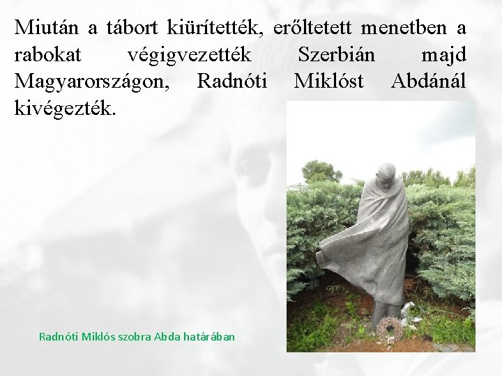 Miután a tábort kiürítették, erőltetett menetben a rabokat végigvezették Szerbián majd Magyarországon, Radnóti Miklóst