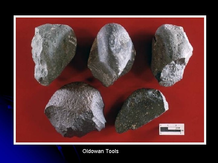 Oldowan Tools 