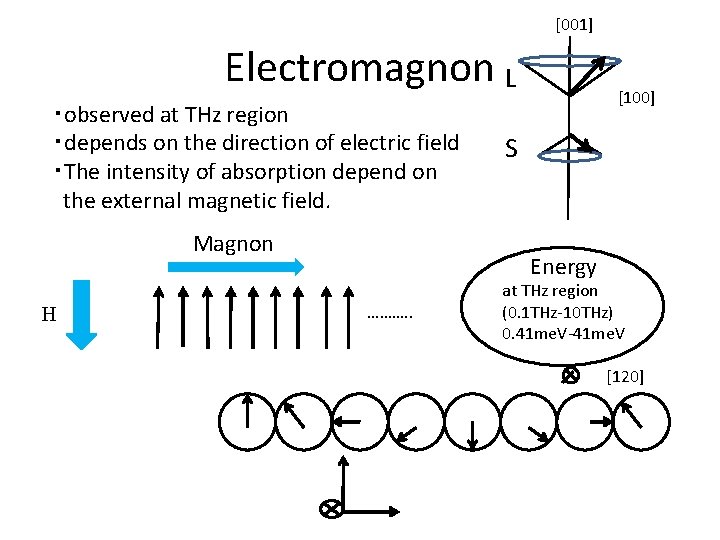 [001] Electromagnon L ・observed at THz region ・depends on the direction of electric field