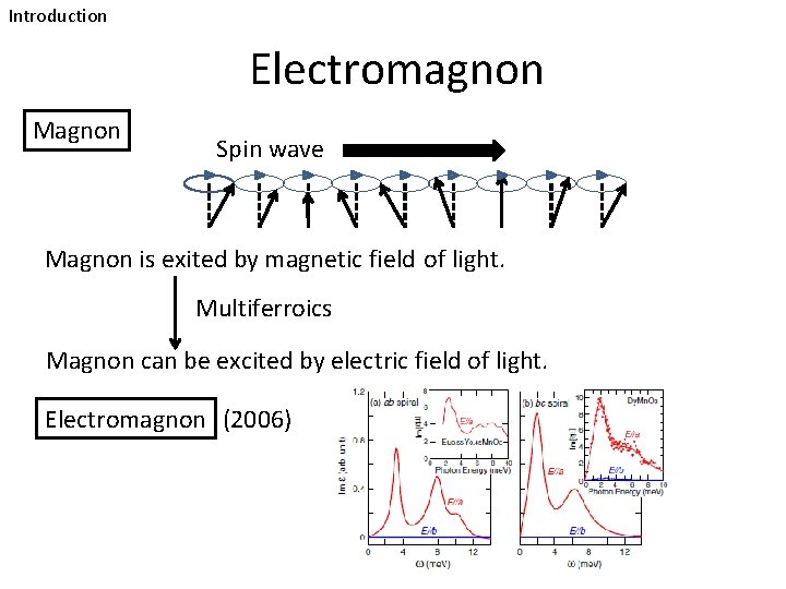 Introduction Electromagnon Magnon Spin wave Magnon is exited by magnetic field of light. Multiferroics