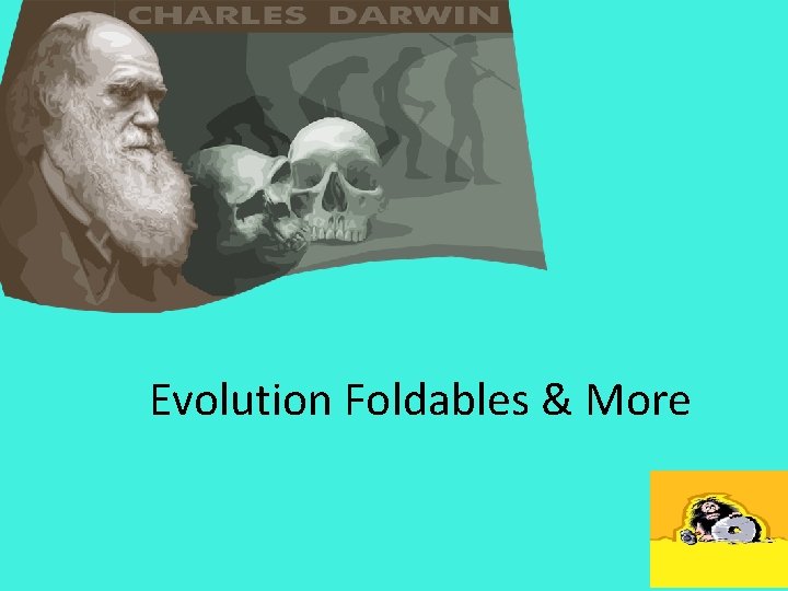 Evolution Foldables & More 