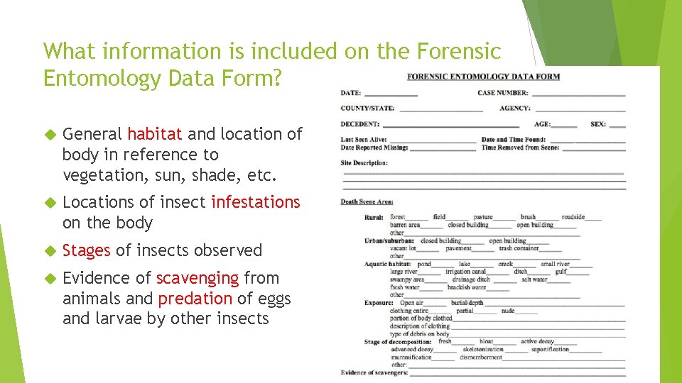 What information is included on the Forensic Entomology Data Form? General habitat and location