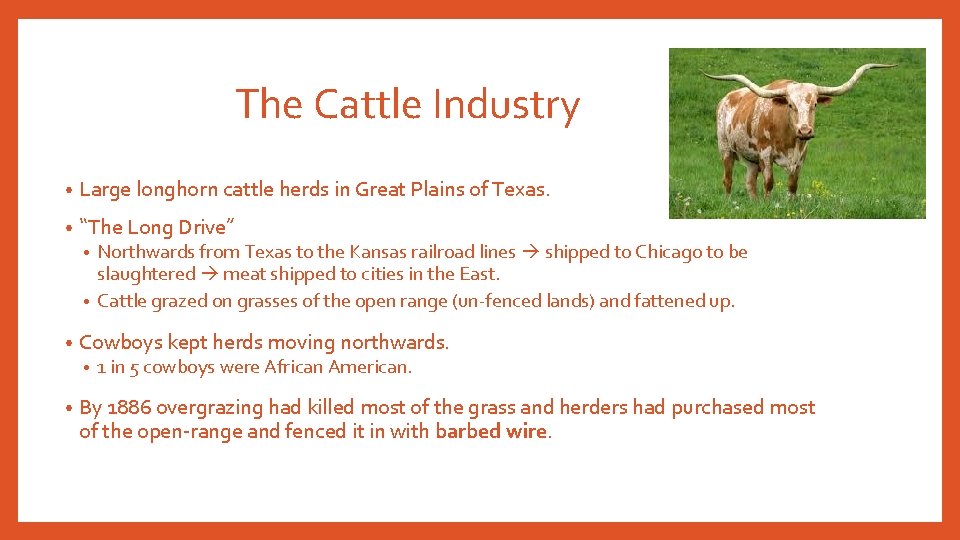 The Cattle Industry • Large longhorn cattle herds in Great Plains of Texas. • The Cattle Industry • Large longhorn cattle herds in Great Plains of Texas. •