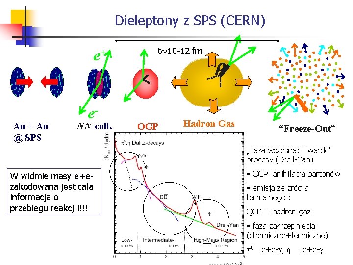 Dieleptony z SPS (CERN) e+ Au @ SPS e- NN-coll. t~10 -12 fm QGP