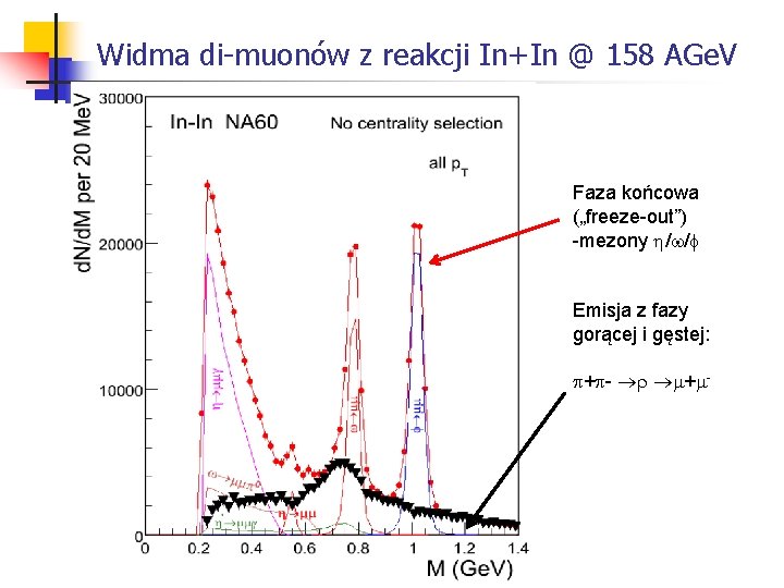 Widma di-muonów z reakcji In+In @ 158 AGe. V Faza końcowa („freeze-out”) -mezony /