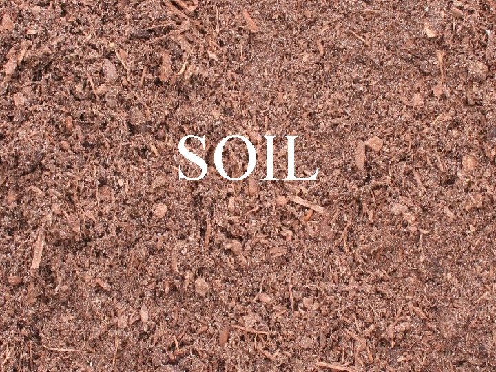 SOIL 
