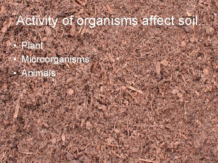 Activity of organisms affect soil. • Plant • Microorganisms • Animals 