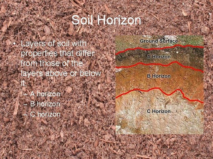 Soil Horizon • Layers of soil with properties that differ from those of the
