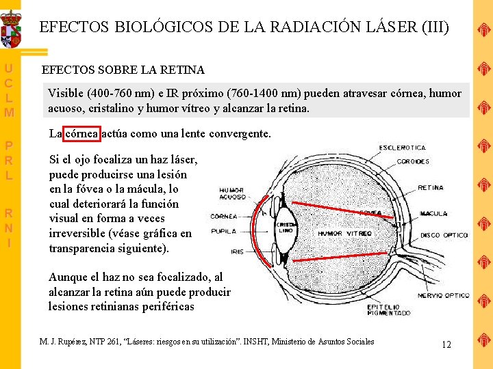 EFECTOS BIOLÓGICOS DE LA RADIACIÓN LÁSER (III) EFECTOS SOBRE LA RETINA Visible (400 -760
