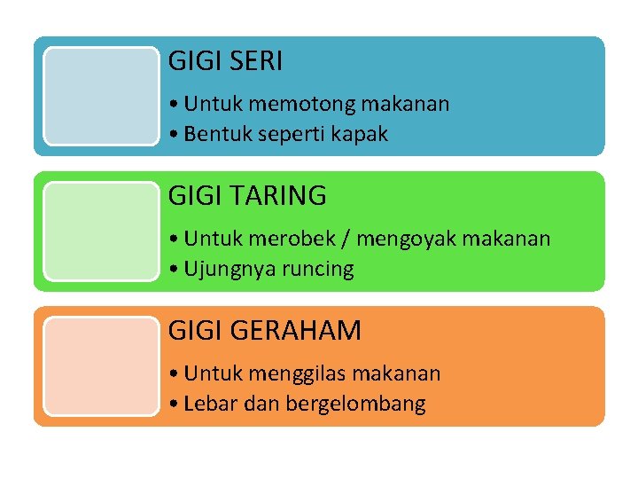 GIGI SERI • Untuk memotong makanan • Bentuk seperti kapak GIGI TARING • Untuk