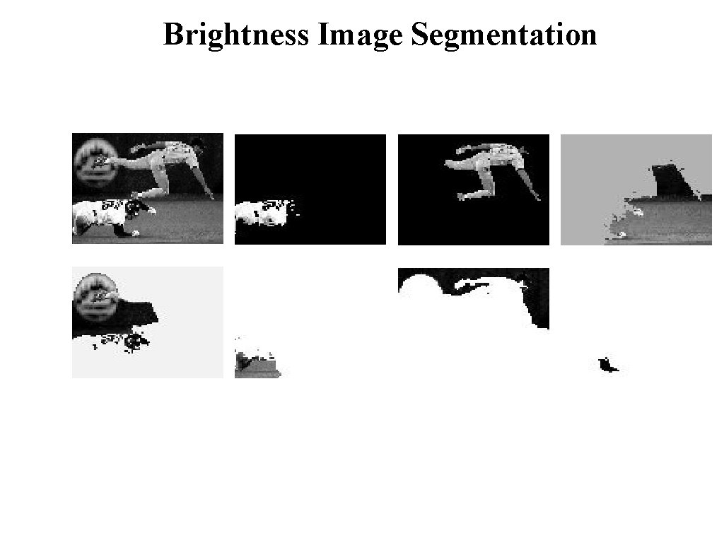 Brightness Image Segmentation © 2004 by Davi Geiger Computer Vision March 2004 L 1.