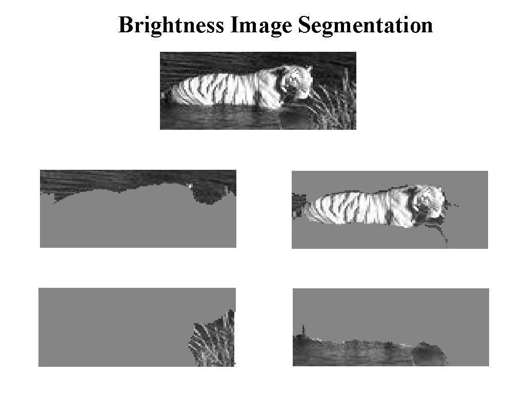 Brightness Image Segmentation © 2004 by Davi Geiger Computer Vision March 2004 L 1.