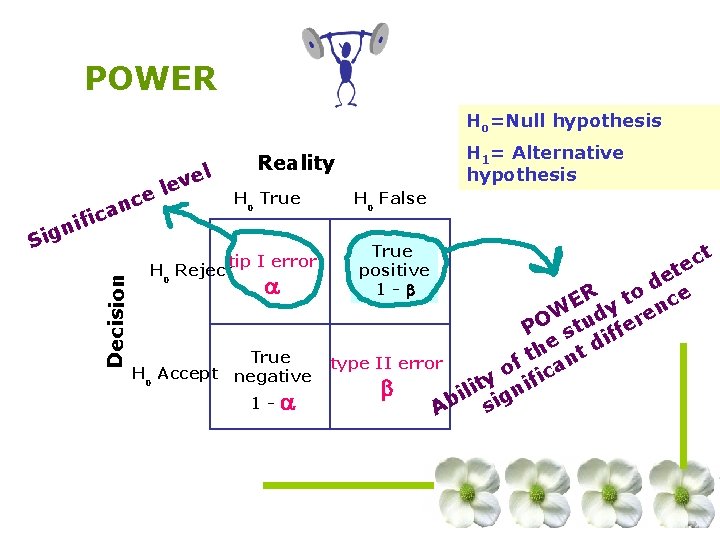 POWER Ho=Null hypothesis ce n ca Decision i if n g Si l e POWER Ho=Null hypothesis ce n ca Decision i if n g Si l e