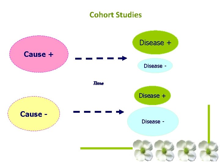 Cohort Studies Disease + Cause + Disease - Time Disease + Cause Disease - Cohort Studies Disease + Cause + Disease - Time Disease + Cause Disease -