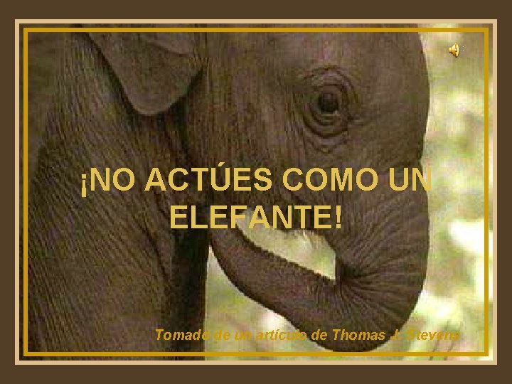 ¡NO ACTÚES UN ♫ Enciende los COMO parlantes ELEFANTE! Tomado de un artículo de