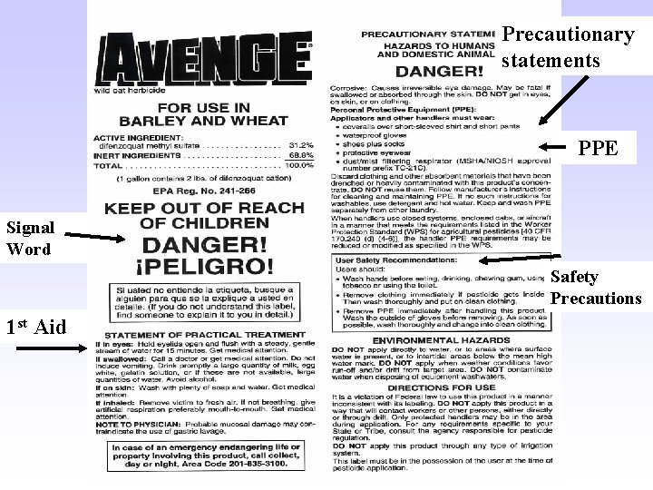 Precautionary statements PPE Signal Word Safety Precautions 1 st Aid Precautionary statements PPE Signal Word Safety Precautions 1 st Aid