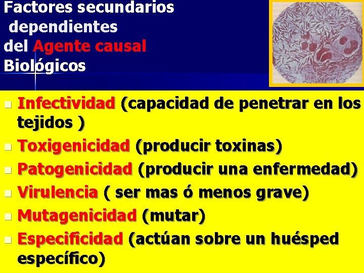 Factores secundarios dependientes del Agente causal Biológicos Infectividad (capacidad de penetrar en los tejidos