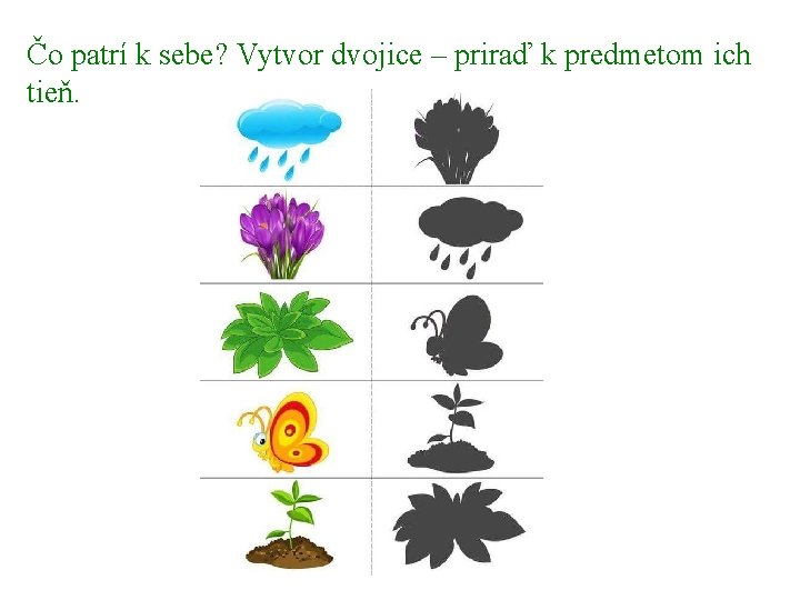 Čo patrí k sebe? Vytvor dvojice – priraď k predmetom ich tieň. 