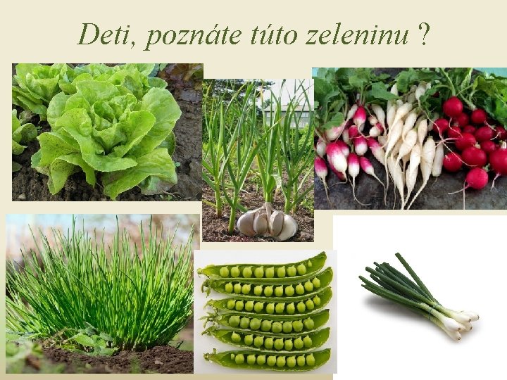 Deti, poznáte túto zeleninu ? 