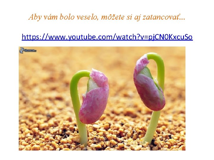 Aby vám bolo veselo, môžete si aj zatancovať. . . https: //www. youtube. com/watch?