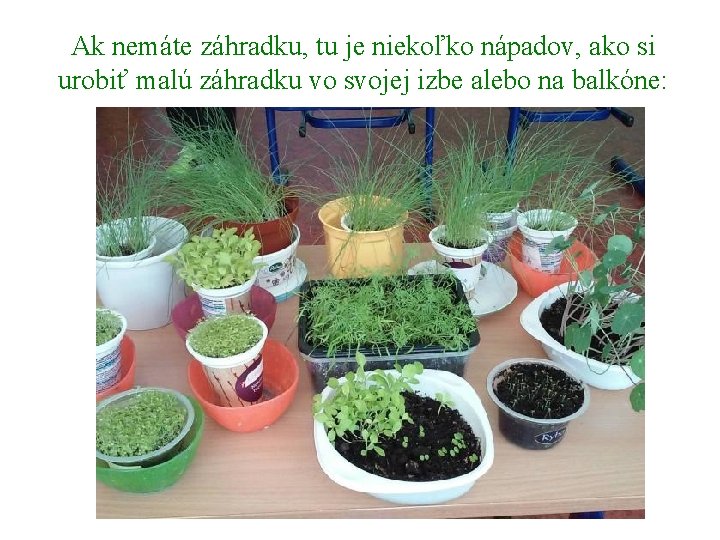 Ak nemáte záhradku, tu je niekoľko nápadov, ako si urobiť malú záhradku vo svojej