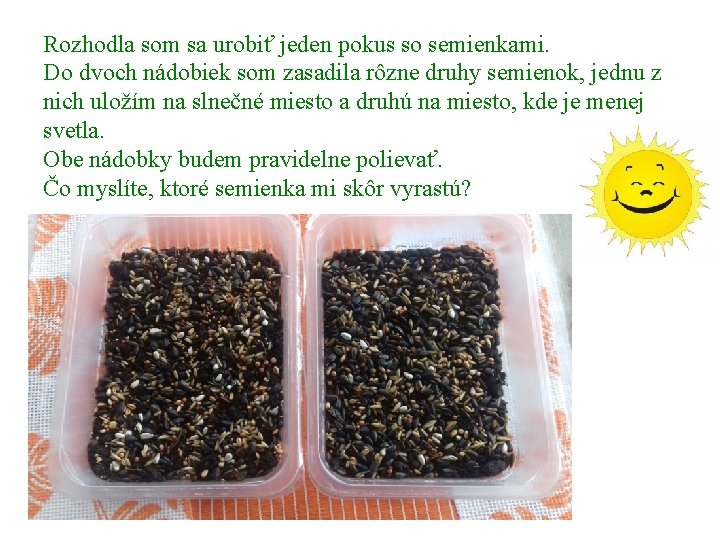 Rozhodla som sa urobiť jeden pokus so semienkami. Do dvoch nádobiek som zasadila rôzne