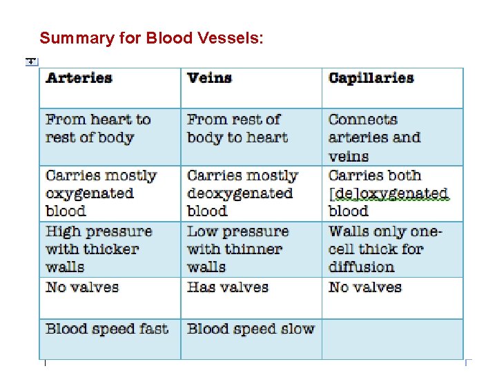 Summary for Blood Vessels: 