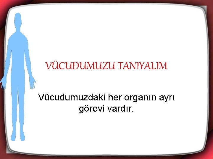 VÜCUDUMUZU TANIYALIM Vücudumuzdaki her organın ayrı görevi vardır. 