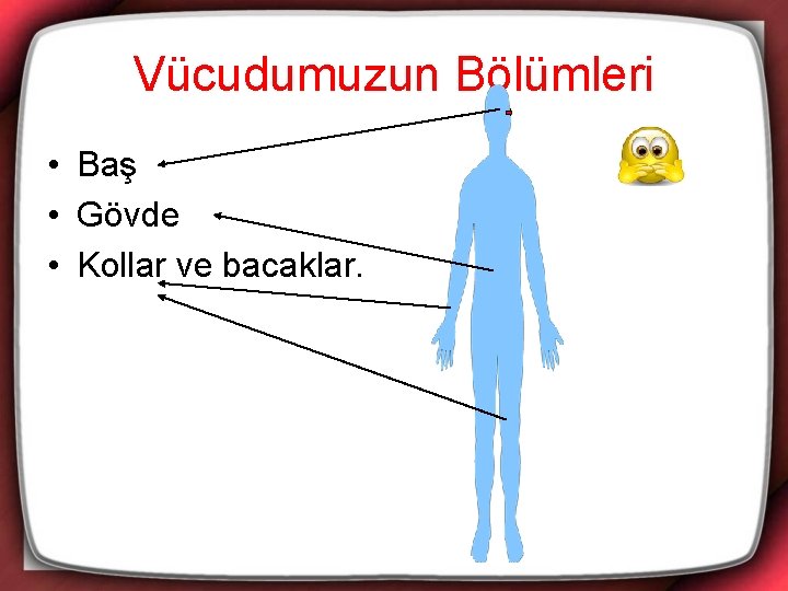 Vücudumuzun Bölümleri • Baş • Gövde • Kollar ve bacaklar. 