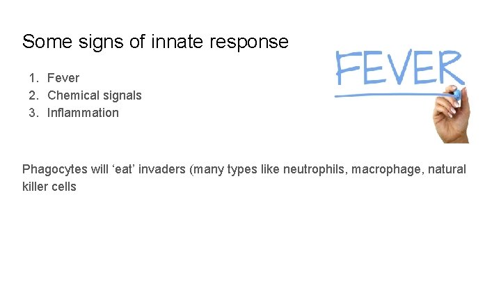 Some signs of innate response 1. Fever 2. Chemical signals 3. Inflammation Phagocytes will