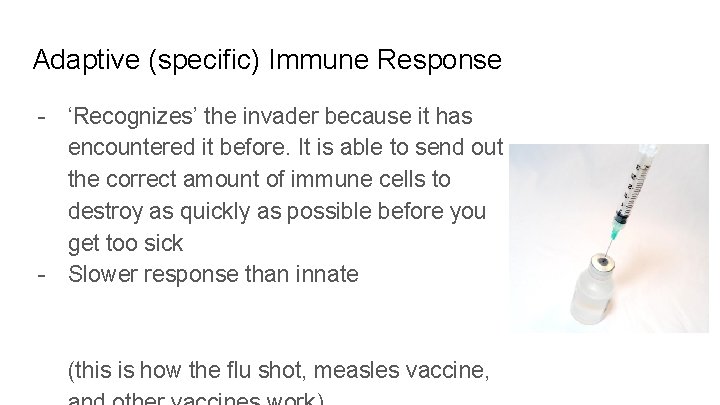 Adaptive (specific) Immune Response - ‘Recognizes’ the invader because it has encountered it before.