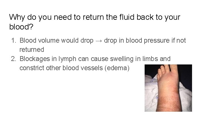 Why do you need to return the fluid back to your blood? 1. Blood
