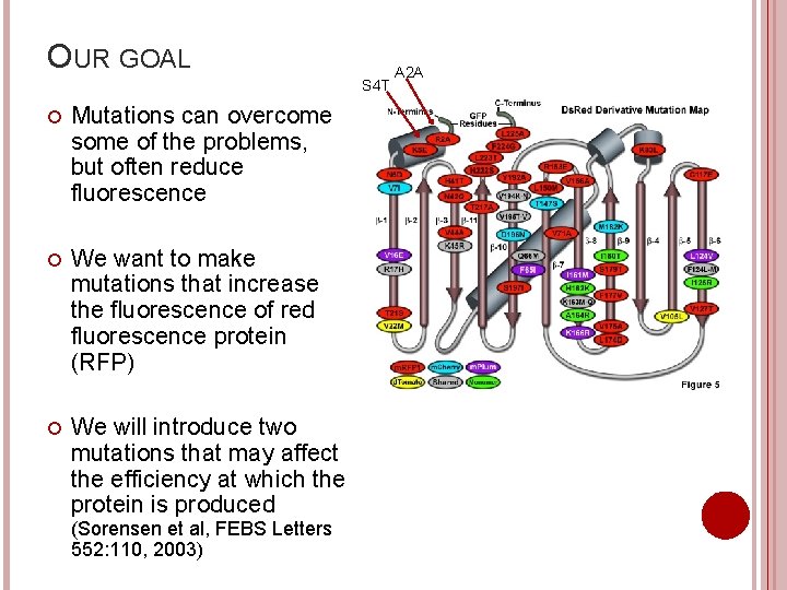 OUR GOAL S 4 T Mutations can overcome some of the problems, but often