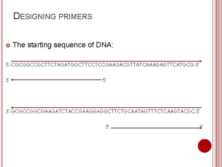 DESIGNING PRIMERS The starting sequence of DNA: 5’-CGCGGCCGCTTCTAGATGGCTTCCTCCGAAGACGTTATCAAAGAGTTCATGCG-3’ 3’ 5’ 3’-GCGCCGGCGAAGATCTACCGAAGGAGGCTTCTGCAATAGTTTCTCAAGTACGC-5’ 5’ 3’ 