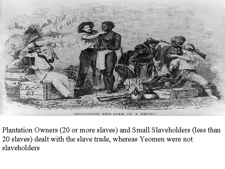Plantation Owner/Small Slaveholder Plantation Owners (20 or more slaves) and Small Slaveholders (less than