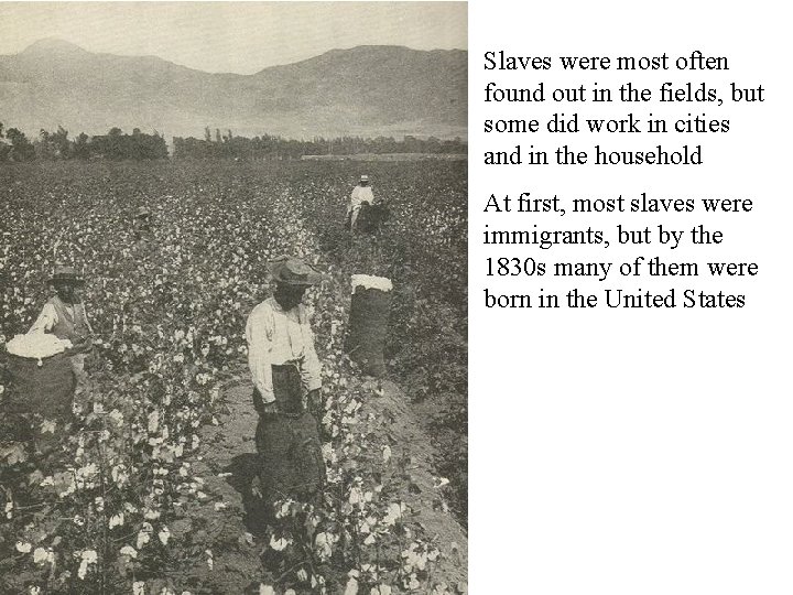 Plantation System Slaves were most often found out in the fields, but some did