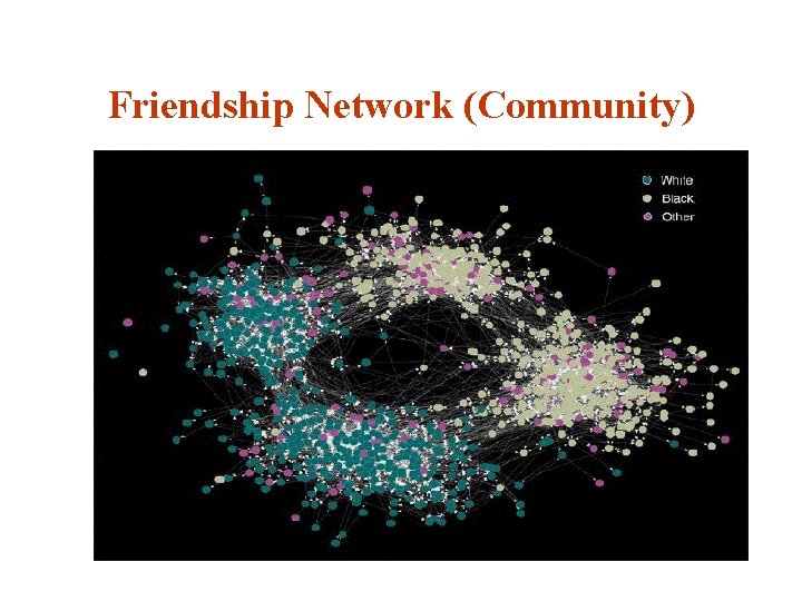 Friendship Network (Community) 