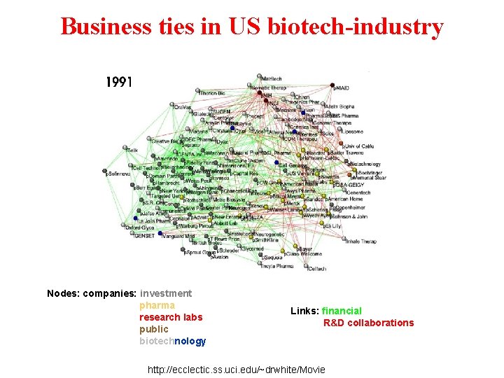 Business ties in US biotech-industry Nodes: companies: investment pharma research labs public biotechnology Links: