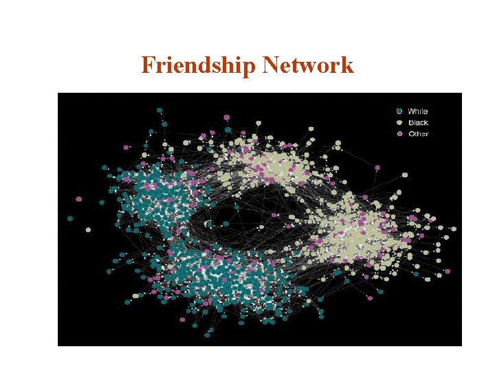 Friendship Network 