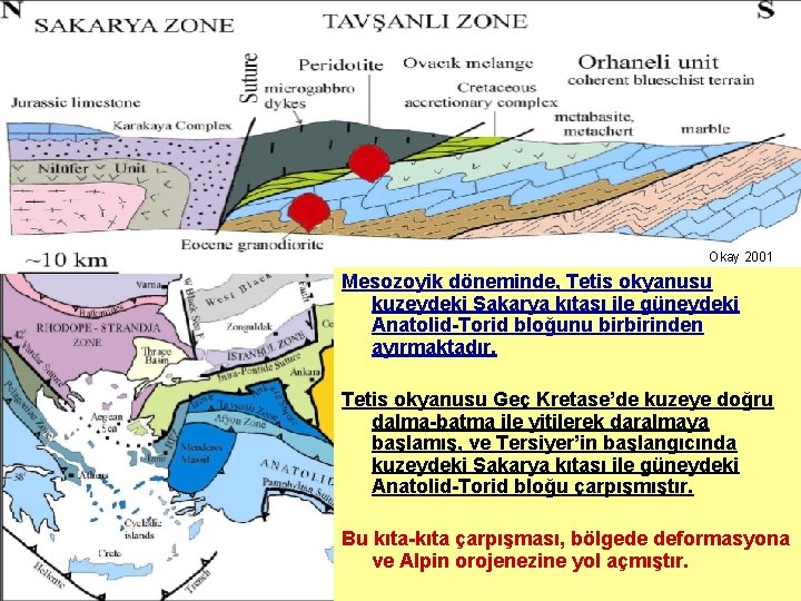 Okay 2001 Mesozoyik döneminde, Tetis okyanusu kuzeydeki Sakarya kıtası ile güneydeki Anatolid-Torid bloğunu birbirinden