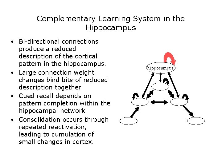 Complementary Learning System in the Hippocampus • Bi-directional connections produce a reduced description of